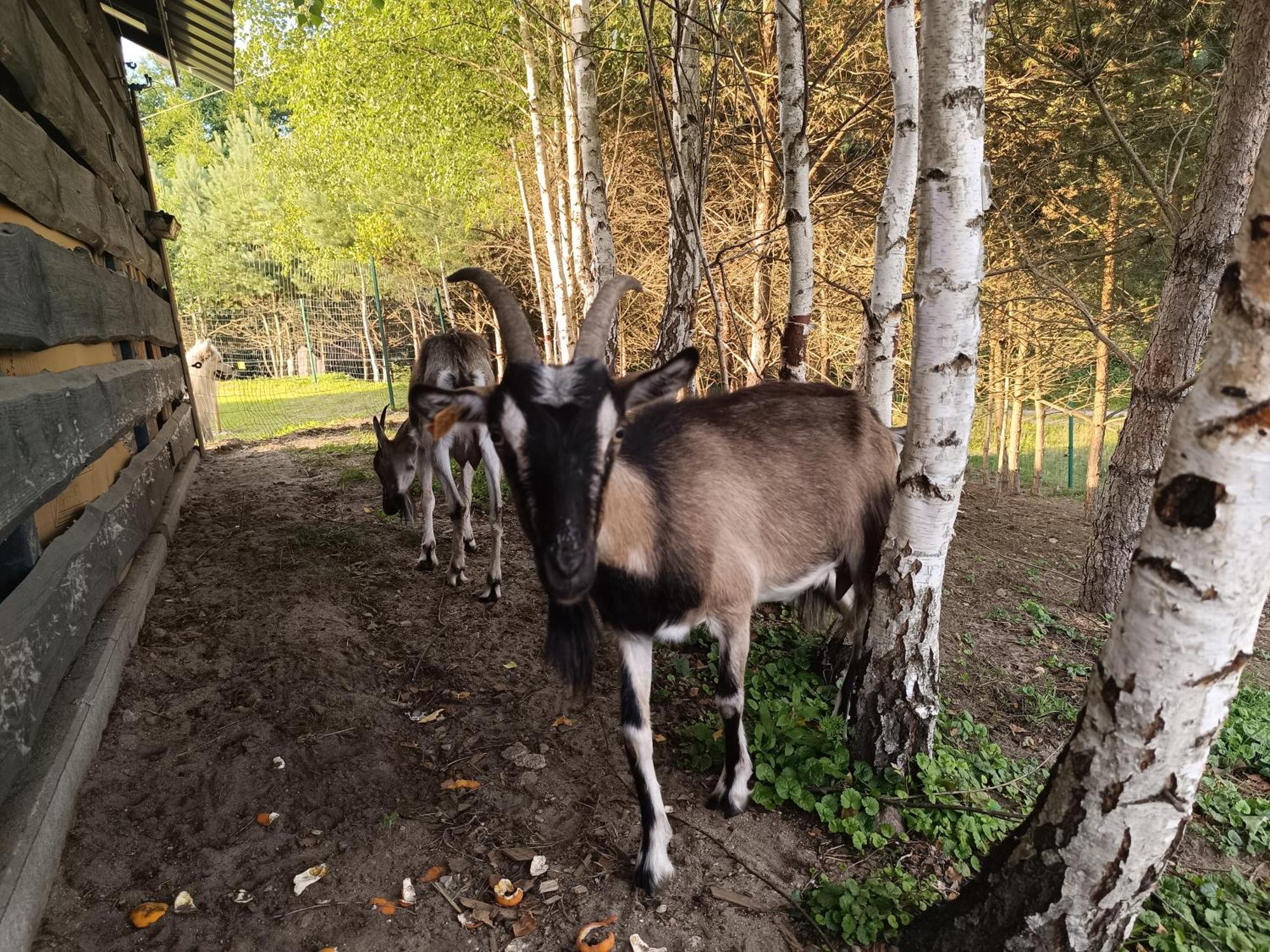Agroturystyka Pod Pstragiem Lipnica  Exterior foto